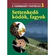 SETTENKEDŐ KÖDÖK, FAGYOK - A TERMÉSZET FORTÉLYAI 3. SETTENKEDŐ KÖDÖK, FAGYOK - A TERMÉSZET FORTÉLYAI 3.