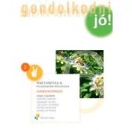 Matematika 6. Gondolkodni jó! feladatainak megoldása Matematika 6. Gondolkodni jó! feladatainak megoldása