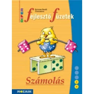 DIFER Fejlesztő füzet - Számolás