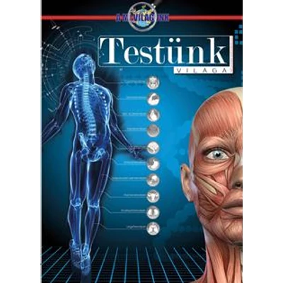 TESTÜNK VILÁGA