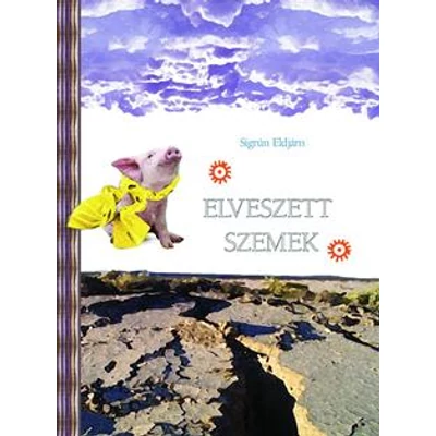 ELVESZETT SZEMEK