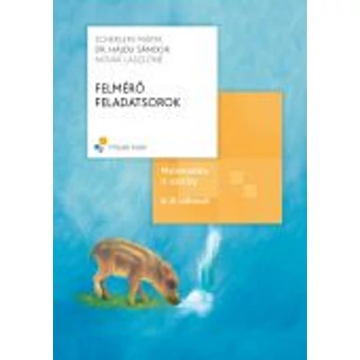 Felmérő feladatsorok, Matematika 3. osztály, A,B változat (átdolgozott)