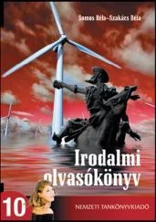 Irodalmi olvasókönyv 10. szakisk.