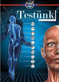 TESTÜNK VILÁGA
