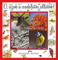 ŐSZI-TÉLI ÖSVÉNYEKEN - Ó, AZOK A CSODÁLATOS ÁLLATOK!