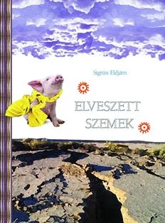 ELVESZETT SZEMEK