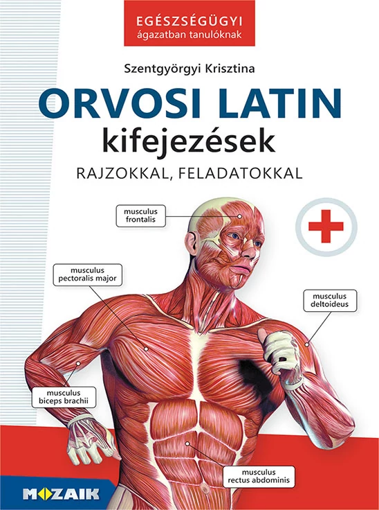 Orvosi latin kifejezések - Egészségügyi ágazatban tanulóknak - Rajzokkal, feladatokkal
